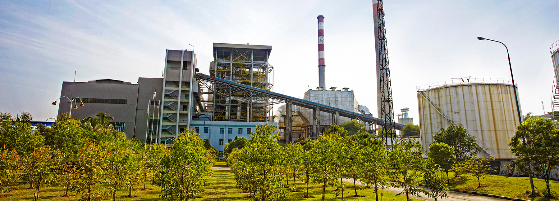 山東睿安生物科技有限公司
